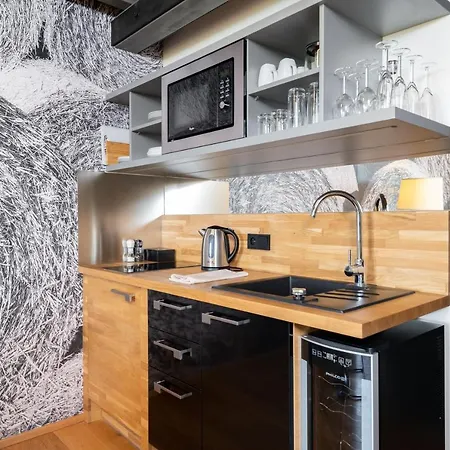 Statek Oblík Apartmán *