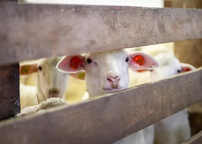 アパート Oblik ロウニ